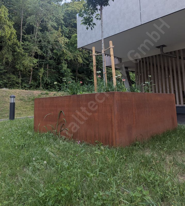 Gro&szlig;es Baumbeet aus Cortenstahl vor einer modernen Wohnanlage, bepflanzt mit Baum und Stauden