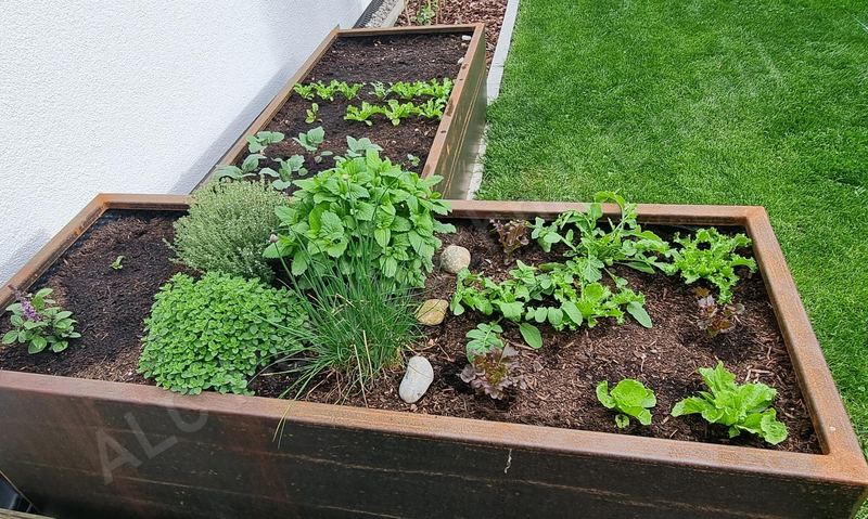 Draufsicht auf zwei Cortenstahl-Hochbeete mit Kr&auml;utern, Salat und Rindenmulch am Haus