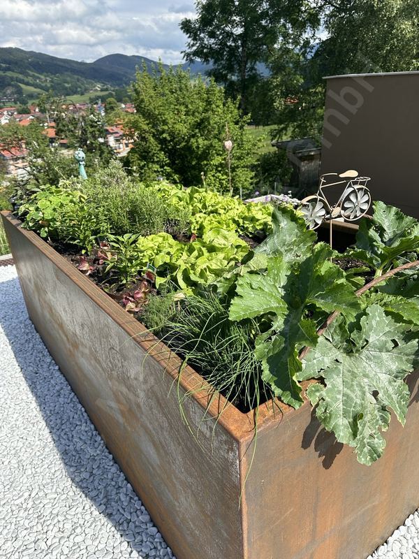Bepflanztes Cortenstahl-Hochbeet mit Salat und Kr&auml;utern vor K&auml;rntner Bergpanorama